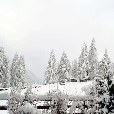 祖阿尔坦穆赫膳食公寓酒店 招待所 索尔登